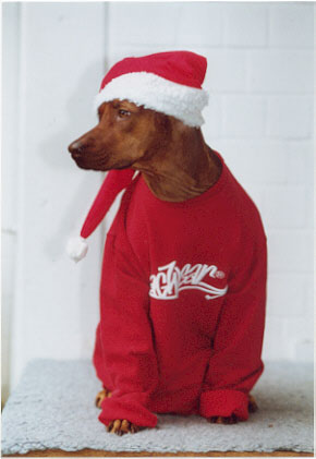 Kisangani African Red Ruby w�nscht allen frohe Weihnachten!!