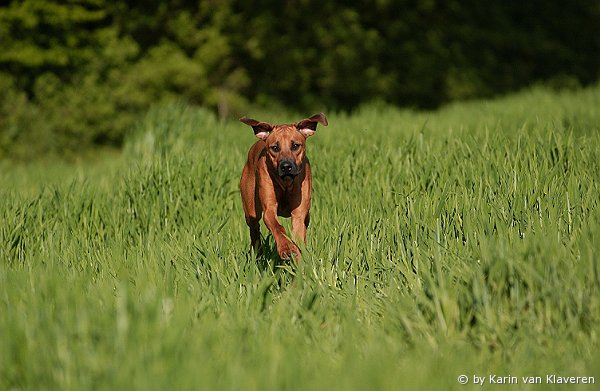 Farmersguardian African Sky