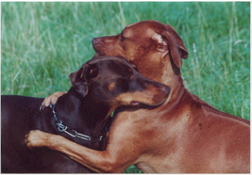 Ruby&Lukas